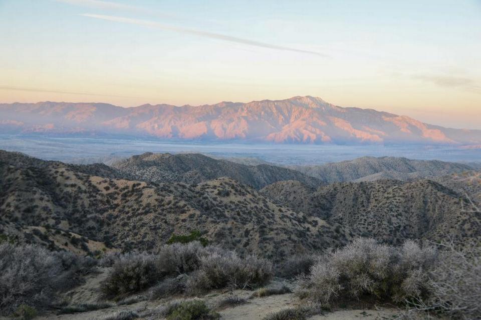 Fra toppen af Eureka Peak i knap 1.700 meters højde har man uspoleret udsigt over nabobyen Palm Springs og hele Coachelladalen. 
