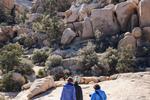 Joshua tree 27.jpg