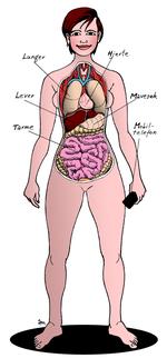 Tegning. Anne-Marie Steen Petersen 