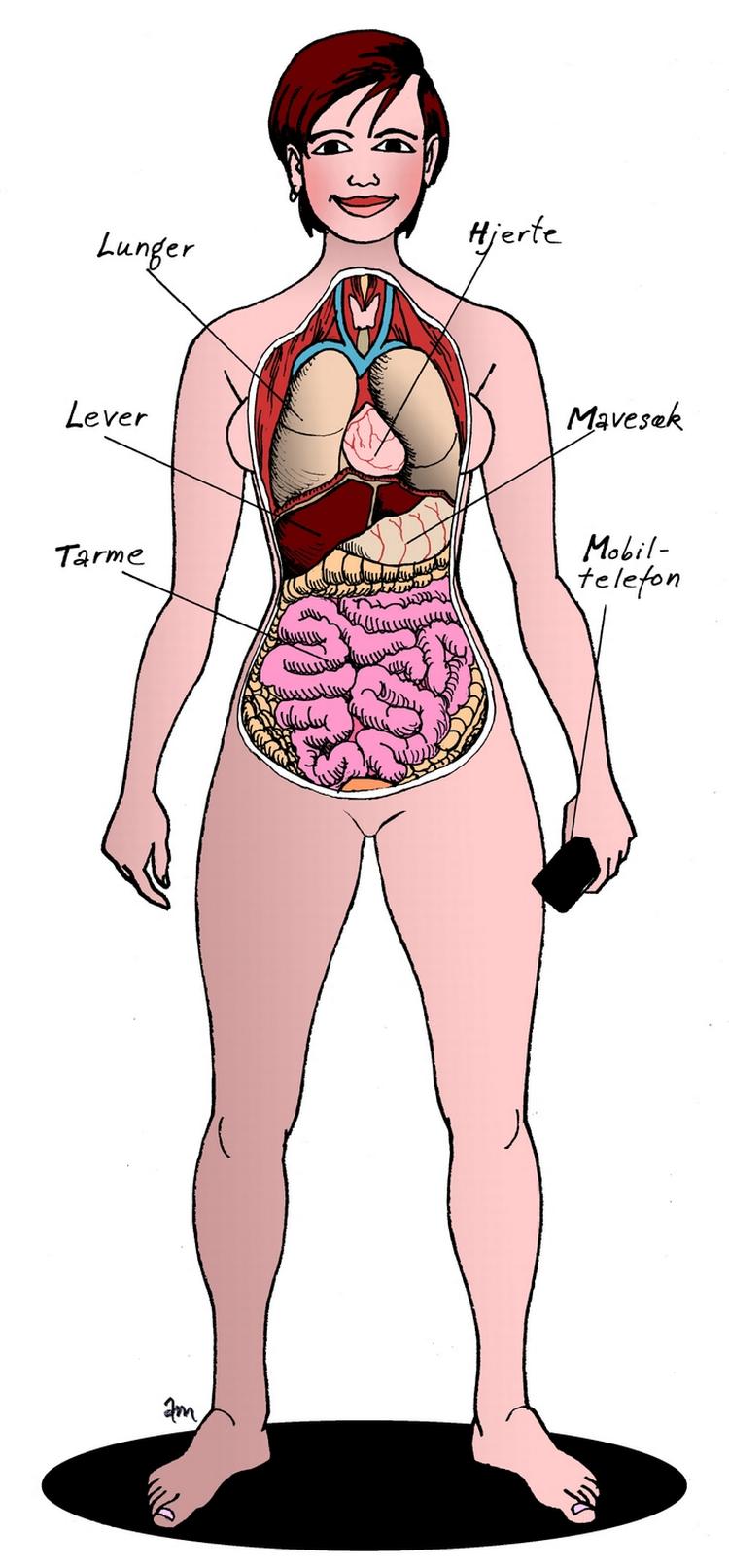 Tegning. Anne-Marie Steen Petersen 