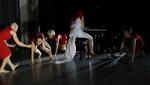 Blod. Der danses i rødt og blødes fra blottede køn direkte på scenen i 'Rose: Rite of Spring – Extended 2', som er et kvindeligt indvielsesritual. 
