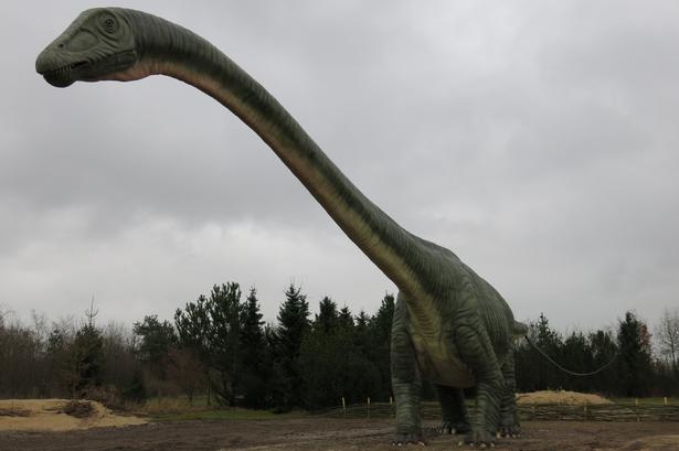 argentinosaurus. Den største dino i Givskud. Den er placeret, så man komme helt til den og røre ved den. Foto: Allan Graubæk 
