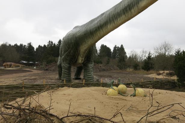 Småskravl. De nyudklækkede unger af en argeninosaurus ser ikke ud af meget i forhold til den voksne. De skal lige vokse 25.000 gange, anslår biolog Kim Skalborg Simonsen fra Givskud Zoo. Foto: Allan Graubæk 