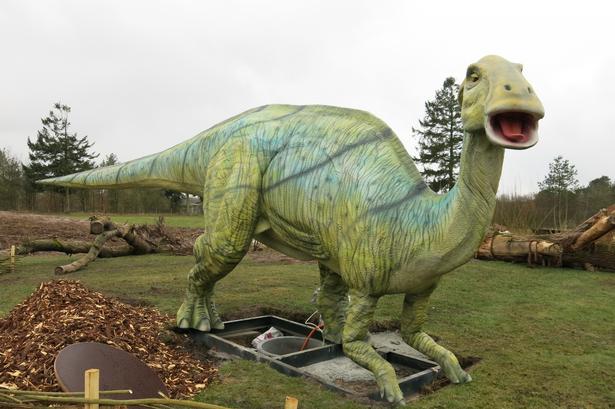 Parasaurolophus. Denne dinosaur har en bagudrettet hovedkam, der står i forbindelse med næseborene. Det menes, at den kunne udstøde en lavfrevent lyd lidt i stil med en obo til at kommunikere med sine artsfæller. Foto: Allan Graubæk 