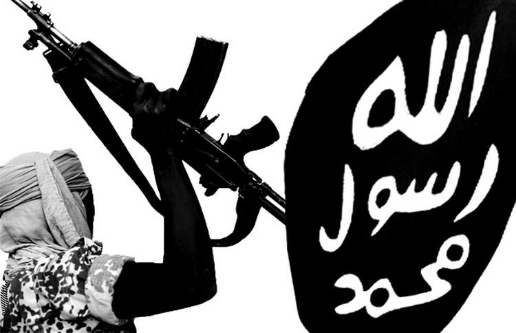 Asyl. Ifølge norsk politi har personer med tilknytning til islamistiske terrorgrupper, som eksempelvis Islamisk Stat og Boko Haram, søgt asyl i Norge. I Danmark ved myndighederne ikke, om det samme er sket i herhjemme. 