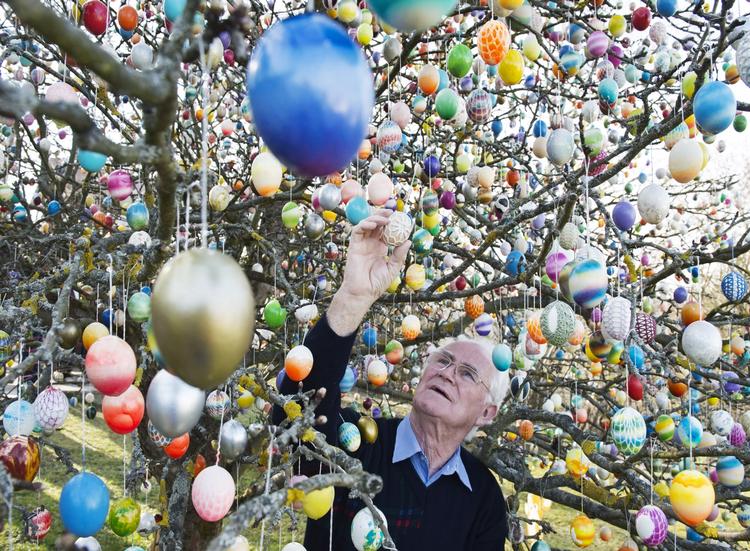 I den tyske by Saalfeld står et træ, hvor borgere i årevis har ophængt håndmalede påskeæg. 