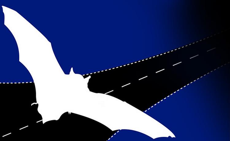 Illustration: Aslak Elias Kelkka 
