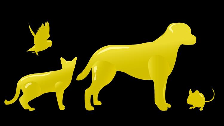 Illustration: Aslak Elias Kelkka 