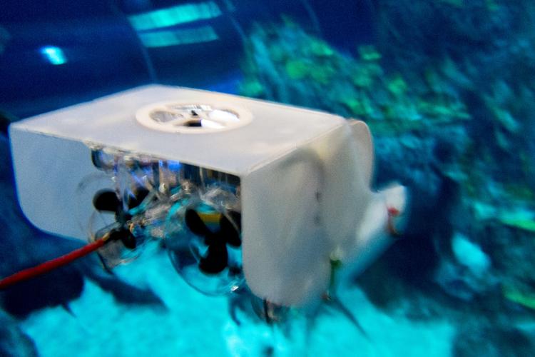 Undervandsrobot. En række studerende fra Københavns Erhversakademi tester en miniatureudgave af deres undervandsrobot. 