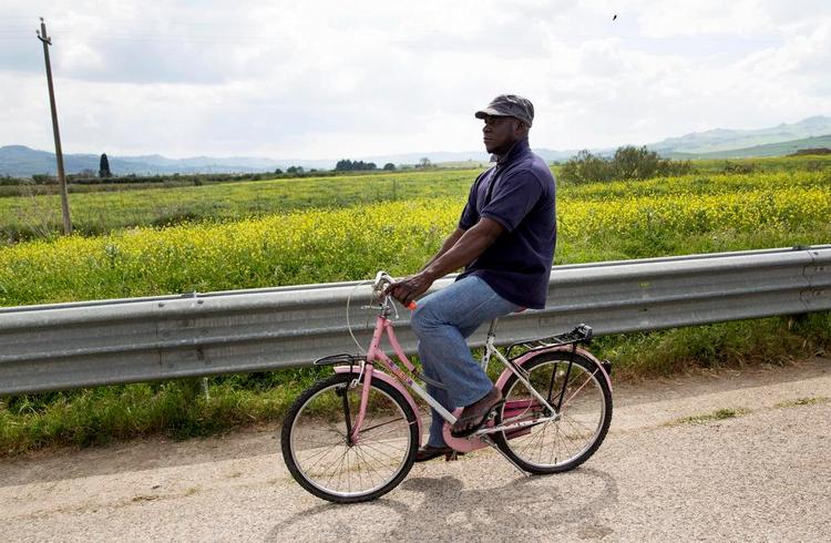Fred. Nigerianeren Frank nød livet som velbetalt murer i Libyen, indtil racistisk vold tvang ham væk. Nu er han på Sicilien efter en farefuld flugt over Middelhavet. 