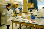 Hårrejsende. Siden år 2000 har dna-test været standardmetoden i FBI's analyseenhededer., som her ses i arbejde. Men inden dna-testen blev indført, havde FBI i årevis systematisk overdrevet troværdigheden af sine hårfiberanalyser. 