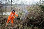 Urskov. Hele banen var fyldt med tornekrat, men nu er et banestykke ryddet. Amagerbanens Venner er i gang med fjerne mere, de vil gerne kunne cykle til Shell. 