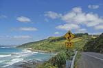 AUSTRALIEN. Great Ocean Road ligger på Australiens sydøstlige kyst og er 243 kilometer lang. Den fører forbi surfervenlige strande samt helt usædvanlige syn som '12 Apostles', en række fritstående klipper ude i vandet, der har facon som skulpturer. 