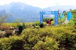 42,195 km. Sapa Mountain Marathon i Vietnam foregår op og ned ad bjerge, over vandløb og gennem smukke landsbyer. Læserfoto: Trine Svendsen 