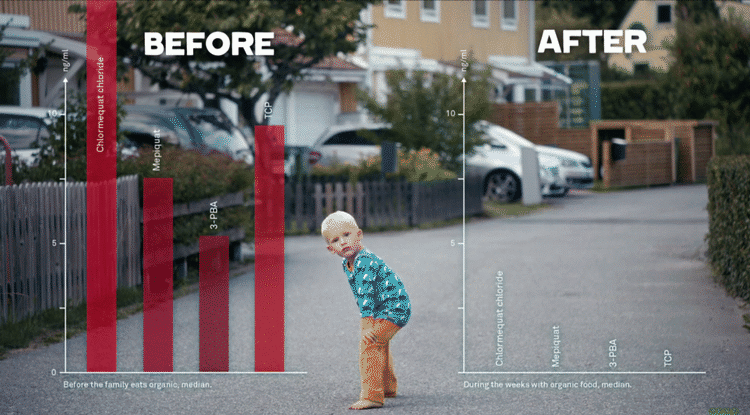 forandring. Faldet i indholdet af rester af sprøjtegifte var mest markant i den tre-årige drengs urin efter en uge med kun økologisk mad. Fra filmen 'The Organic Effect', der er lavet i forbindelse med eksperimentet. 