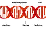 web-helix-dna-desktop