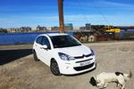 POPULÆR. Politiken fik nye venner under prøvekørslen af Citroën C3. Bilen er superøkonomisk. 