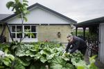 NYBORG // Case forsikring