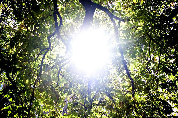 Sommerligt. Mangler du inspiration til weekenden, er hjælpen nær. 