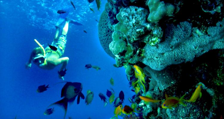 LOKKEMIDDEl. Den israelske stats turistbureau vil forsøge at få flere turistbureauer og flyselskaber til at bringe turister til havnebyen Eilat ud til Rødehavet. Foto: JP 