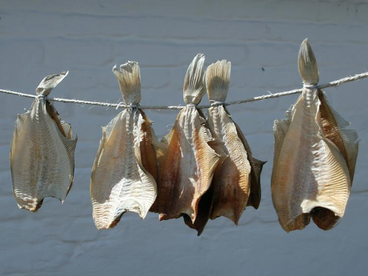 Ulovlig. De vestjyske fiskehandlere og røgerier må ikke længere tørre isingerne i det fri og sælge fisken til kunderne. 