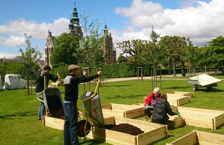 Køkkenhave. Der bliver gjort klar til eftermiddagens indvielse af den nye grønne byhave i Kongens Have. 