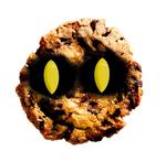 Acookie copy.jpg