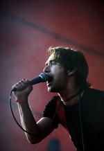 Kultband. Svenske bob hund har et dedikeret følge. 