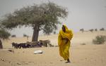 vådere. Den tørre Sahel-region på kanten af Sahara oplever, at der falder mere regn. I gennemsnit 10 procent mere om dagen end i perioden fra 1964 til 1993. 