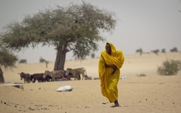 vådere. Den tørre Sahel-region på kanten af Sahara oplever, at der falder mere regn. I gennemsnit 10 procent mere om dagen end i perioden fra 1964 til 1993. 