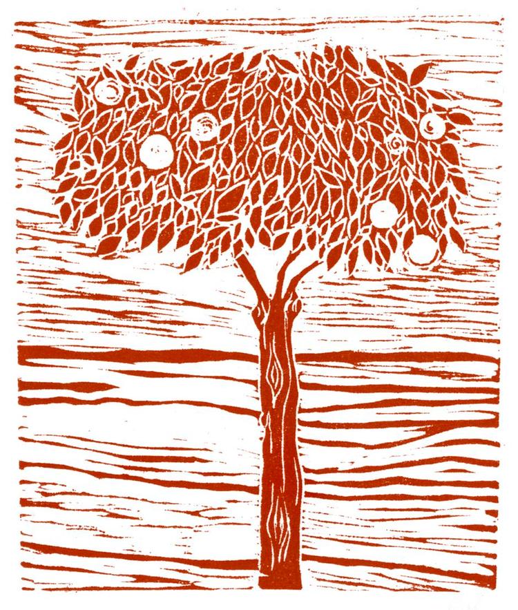 Illustration fra bogen 