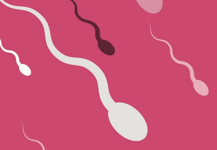 donor. Flere sæddonorer opgiver anonymitet. Udviklingen skyldes øget medieomtale og en generel aftabuisering af assisteret reproduktion, vurderer både sædbanker og en ekspert. Illustration: Aslak Kelkka 