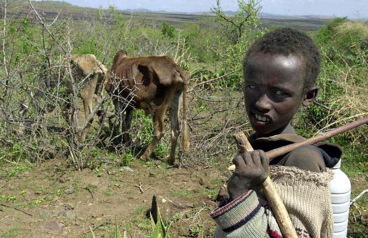 Tørke. Næsten en million mennesker døde i tørken i det nordøstlige Afrika for 15 år siden, hvor dette billede er taget. Nu afleverer Etiopien som det første egentlige uland en klimaplan til FN. 