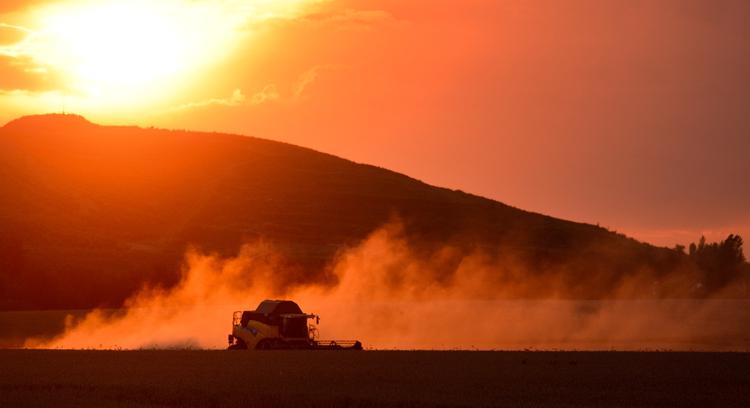 jævnbyrdige. Rapporten fra Cowi viser, at danske landmænd klarer sig lige så godt som deres kolleger i Holland, Sverige og - her - Tyskland. 