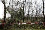 MÆRKESAG. Dansk Folkeparti vil have grænsebommene tilbage. 