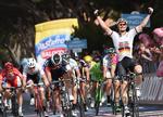 STABIL. Hvert år viser spurtstærke André Greipel sit høje niveau, og bunken af sejre vokser støt. 