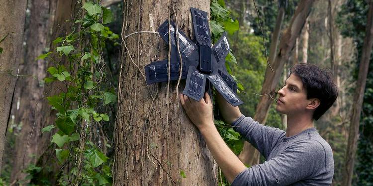 sladrehank.  Topher White tilser en af de aflagte smartphones, som Rainforest Connection bruger til at afsløre ulovlig skovhugst. Den får strøm fra solceller og kan sende en alarm til software i 'skyen', hvis den opfanger lyden af motorsave. Derefter bliver de lokale skovløbere så alarmeret. 