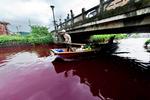 rødt. Sidste sommer vånede folk langs denne flod i det østlige Kina op til et sært syn: I løbet af natten havden forurening farvet vandet i floden rødt. 