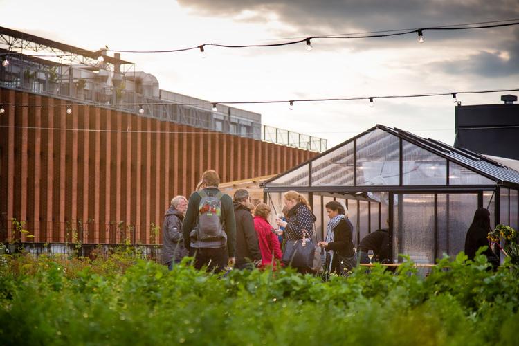 ØsterGro. Københavns største taglandbrug ligger i tredje sals højde. 