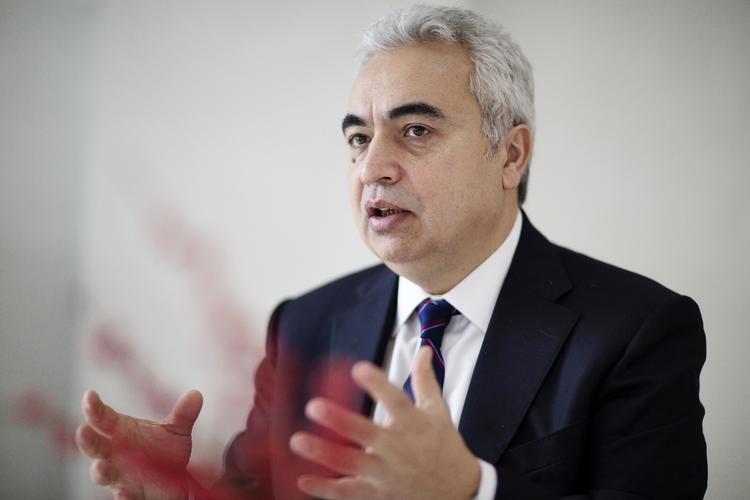 Markedet for vedvarende energi er kun i sin vorden, spår IEAs cheføkonom Fatih Birol. Danmark vil derfor gøre sig selv en stor tjeneste ved at fastholde en førerposition, siger han. 