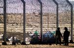 HEGN. Afrikanske migranter sidder på den egyptiske side af det hegn, Israel har opført langs de to landes fælles grænse. Nu kommer der et tilsvarende hegn mod naboen i øst, Jordan. 