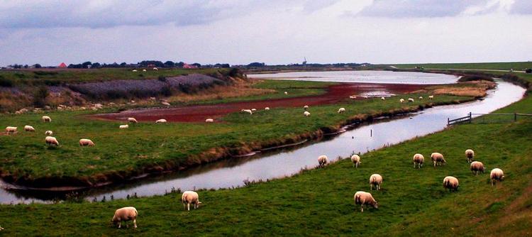 Texel. Hollænderne halter efter, når det kommer til kampen mod klimaændringer, men på øen Texel går de foran landet med et mål om at blive selvforsynende med bæredygtig energi og et laboratorium for Hollands grønne fremtid 
