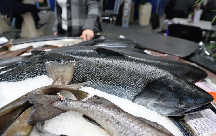 VELSMAGENDE. Alaskasej er en en populær spisefisk, og i 1990 udløste det massivt overfiskeri i det såkaldte 'Donut Hole' mellem USA og Rusland. Her ses fisken på en fiskerimesse i Tyskland. 