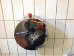 Toiletrulleholder. Politikens skribent finder sig til rette på et offentligt toilet. 