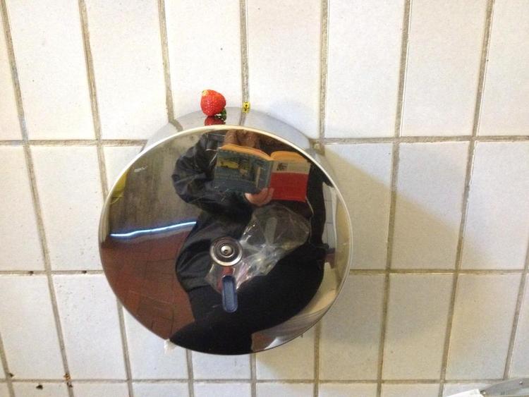 Toiletrulleholder. Politikens skribent finder sig til rette på et offentligt toilet. 