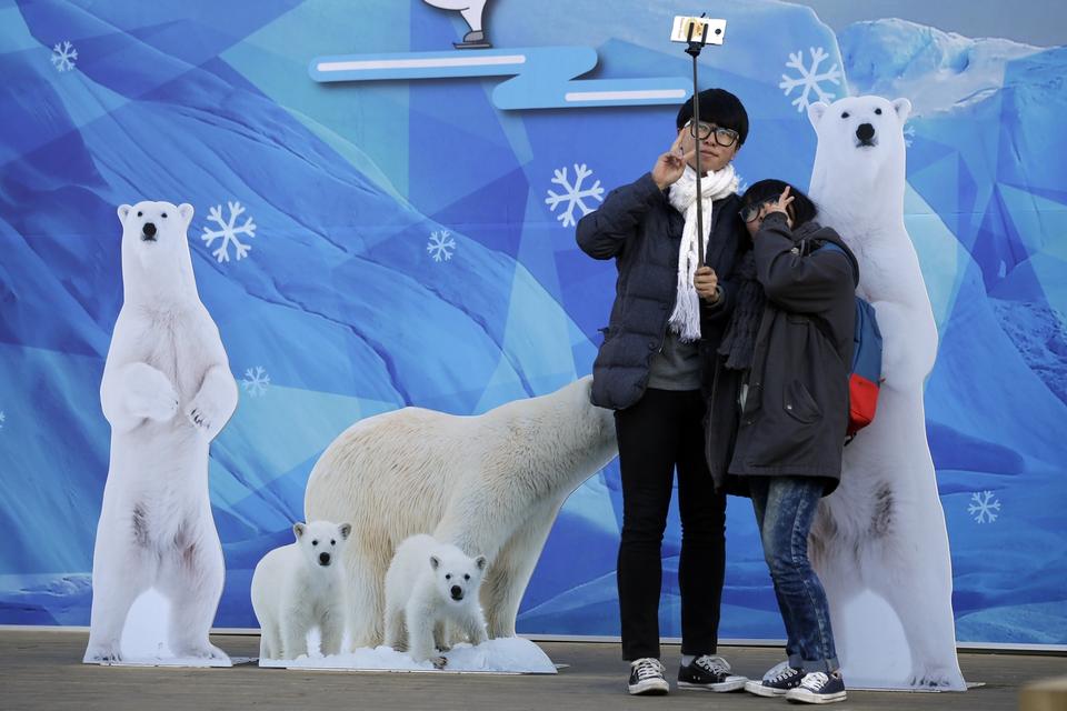 SYDKOREA. Isbjørnefigurer foran Seouls rådhus danner den perfekte ramme om en selfie. 