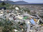 AFFALD. Skrald på stranden på Montague-øen i Alaska, hvor en del af den enorme affaldsmængde fra tsunamien i Japan i 2011 nu er skyllet i land. 