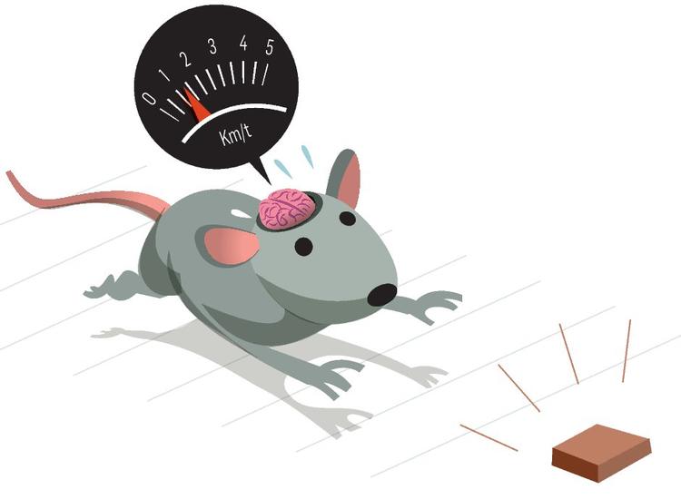 illustration: Claus Nørregaard 