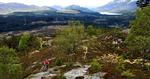 NATURSTI. I Skotland indgår spor til mountainbikere i en national strategi. Her ligger sporet ved Laggan i Cairngorms National Park. 