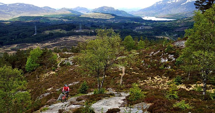 NATURSTI. I Skotland indgår spor til mountainbikere i en national strategi. Her ligger sporet ved Laggan i Cairngorms National Park. 